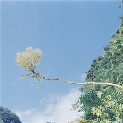 大话西行记官方版